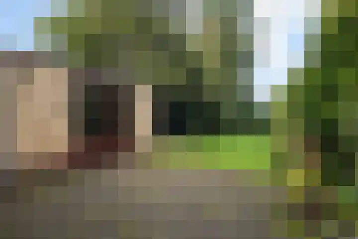 Ericalaan 15 Ermelo thumbnail 37