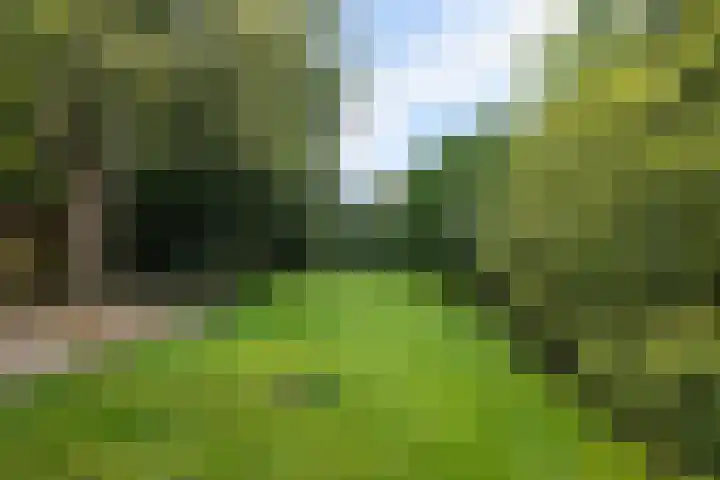 Ericalaan 15 Ermelo thumbnail 38
