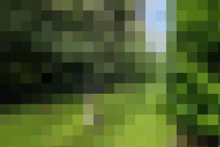 Ericalaan 15 Ermelo thumbnail 39