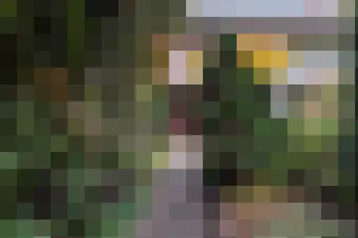 Ericalaan 15 Ermelo thumbnail 4