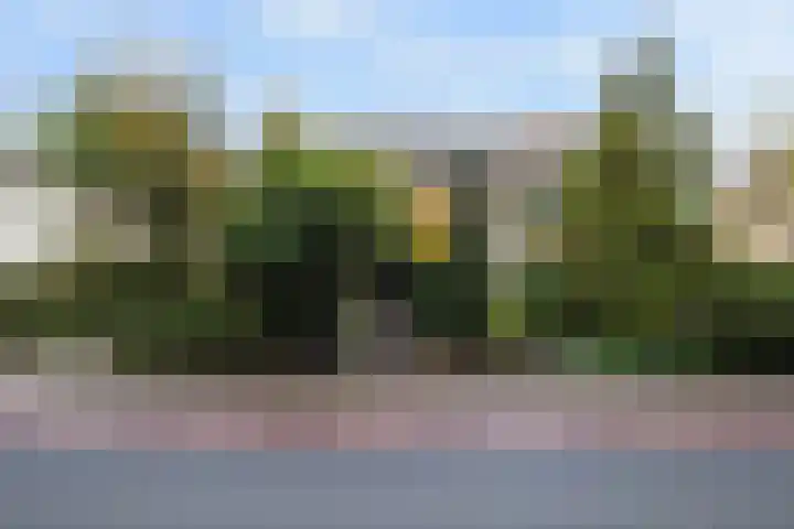 Ericalaan 15 Ermelo thumbnail 41