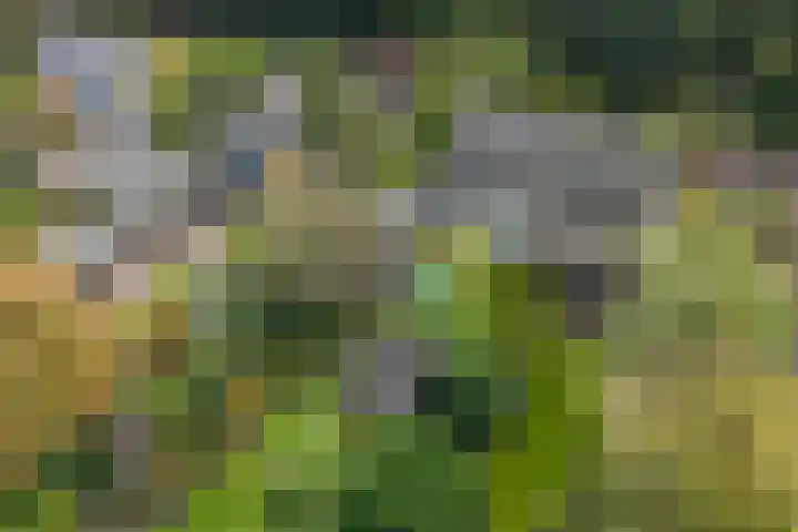 Ericalaan 15 Ermelo thumbnail 42