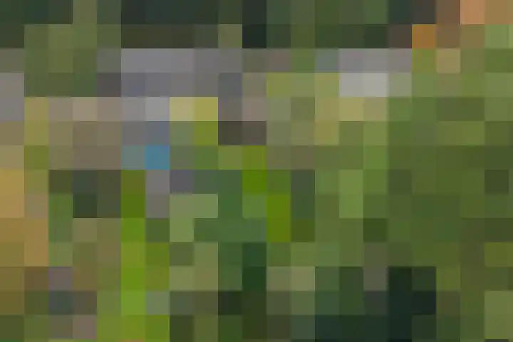Ericalaan 15 Ermelo thumbnail 43