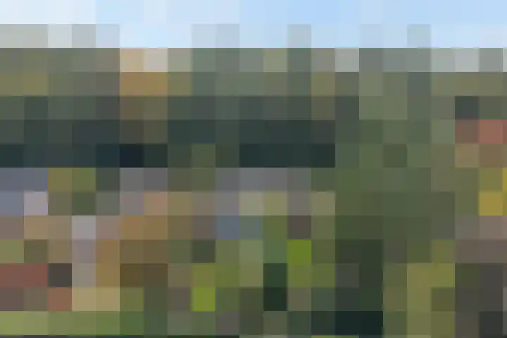 Ericalaan 15 Ermelo thumbnail 44
