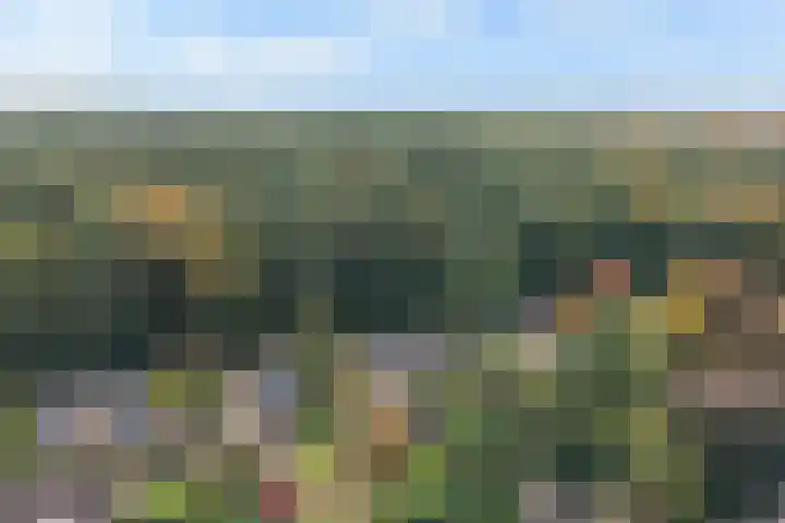 Ericalaan 15 Ermelo thumbnail 45