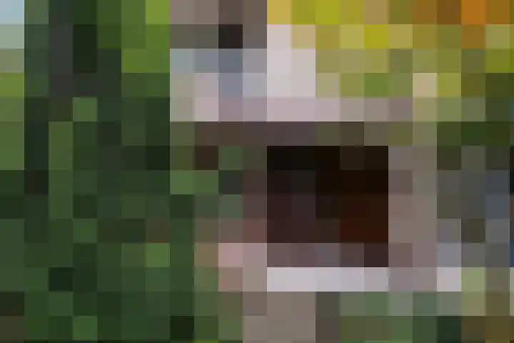 Ericalaan 15 Ermelo thumbnail 5