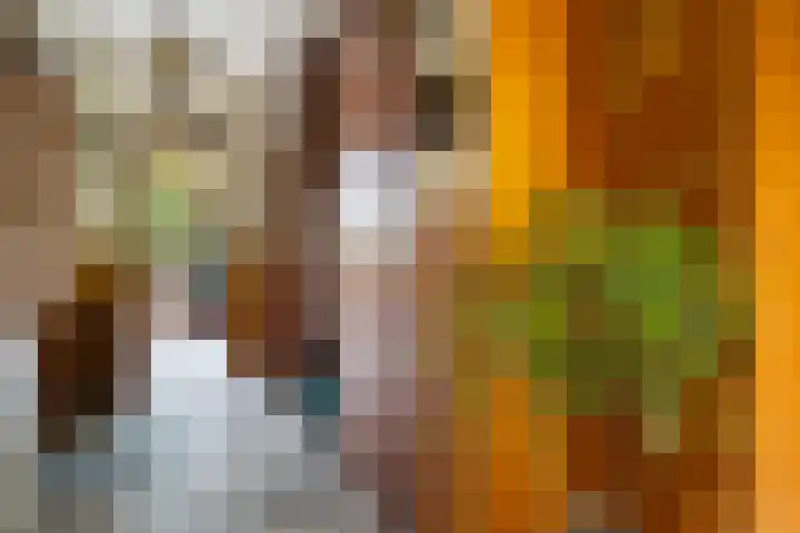 Ericalaan 15 Ermelo thumbnail 6
