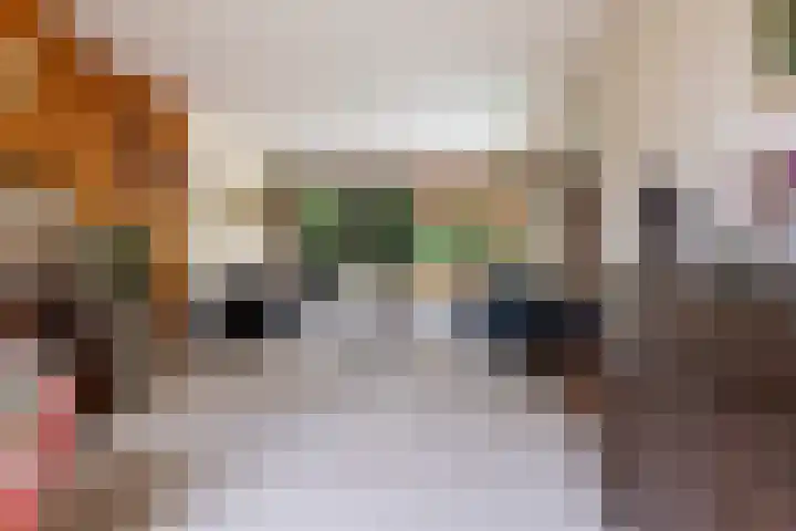 Ericalaan 15 Ermelo thumbnail 7