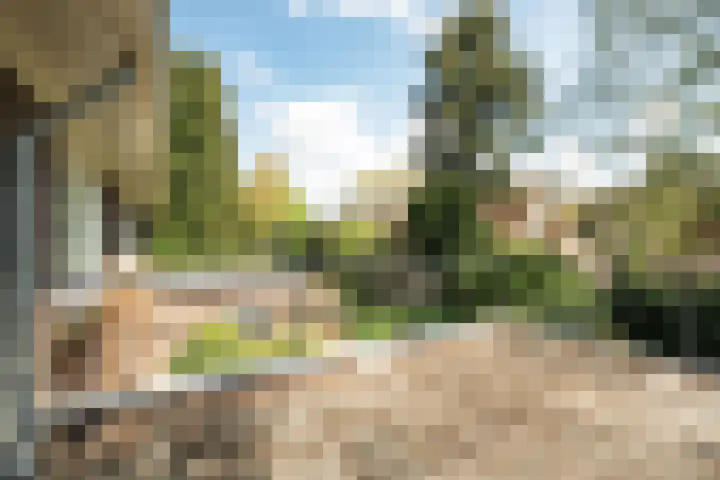 Ericalaan 2 Wageningen thumbnail 23