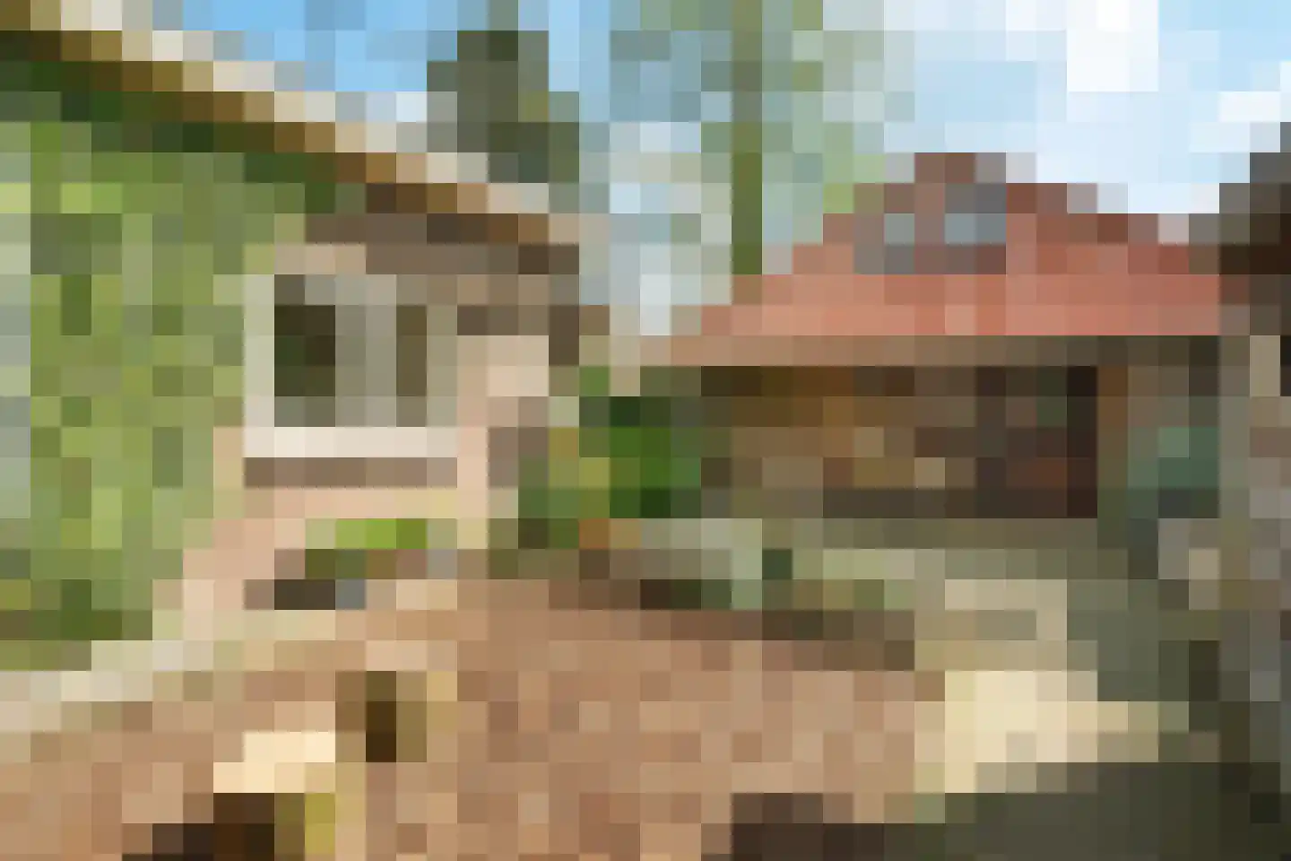 Ericalaan 2 Wageningen thumbnail 31