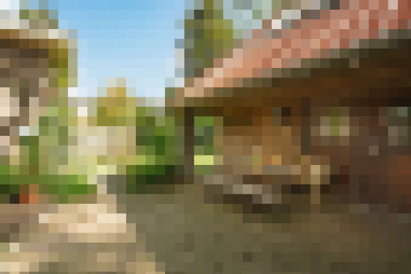 Ericalaan 2 Wageningen thumbnail 32