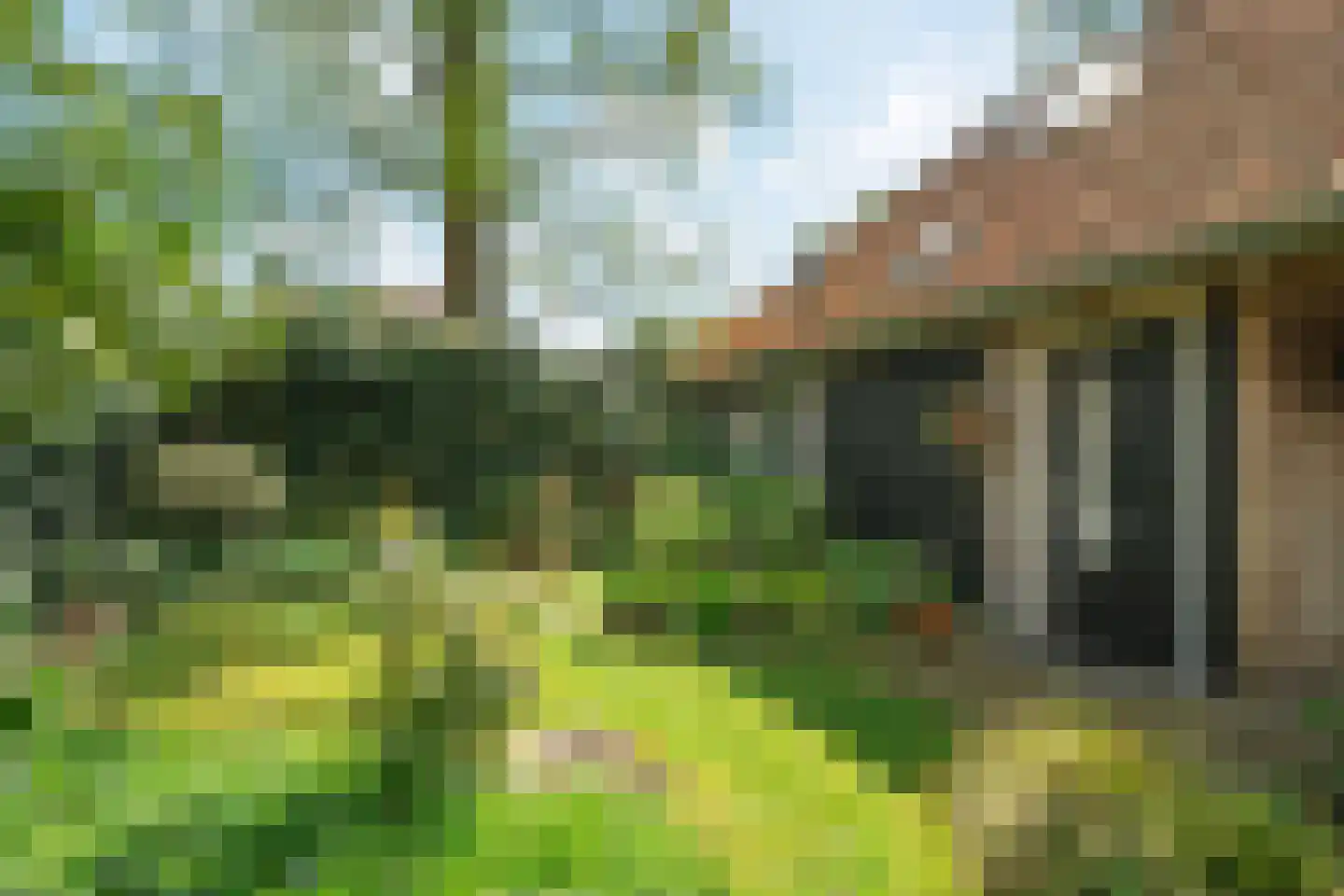 Ericalaan 2 Wageningen thumbnail 33
