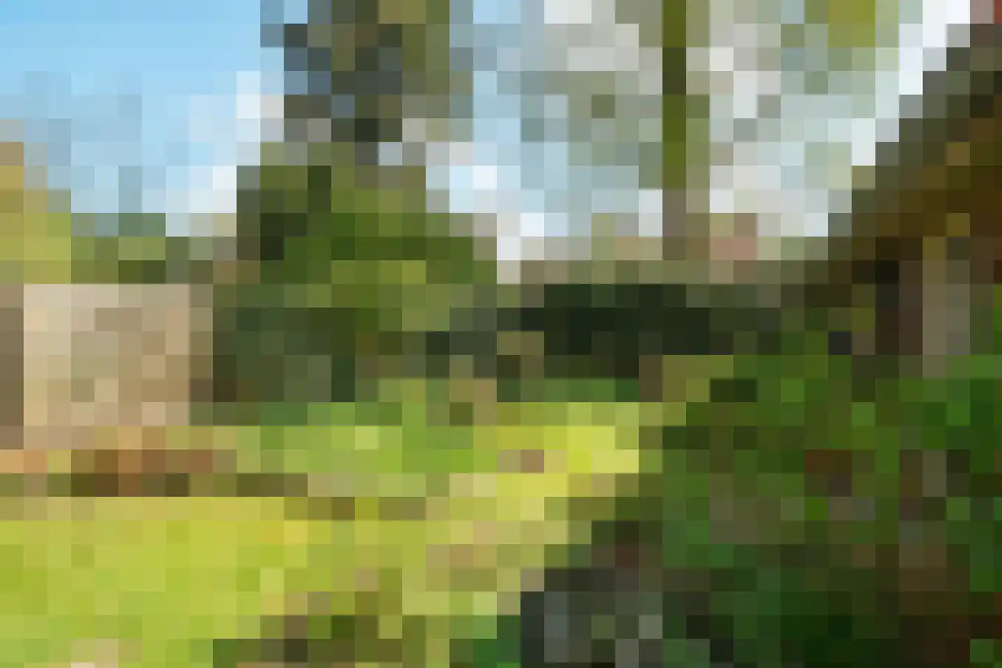 Ericalaan 2 Wageningen thumbnail 34