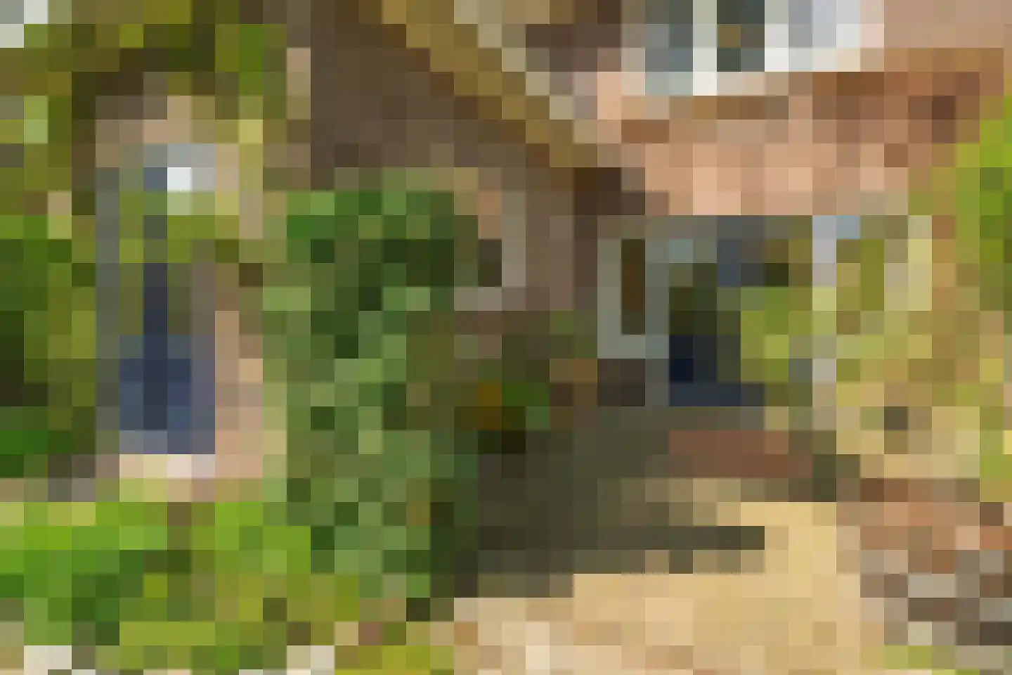 Ericalaan 2 Wageningen thumbnail 37