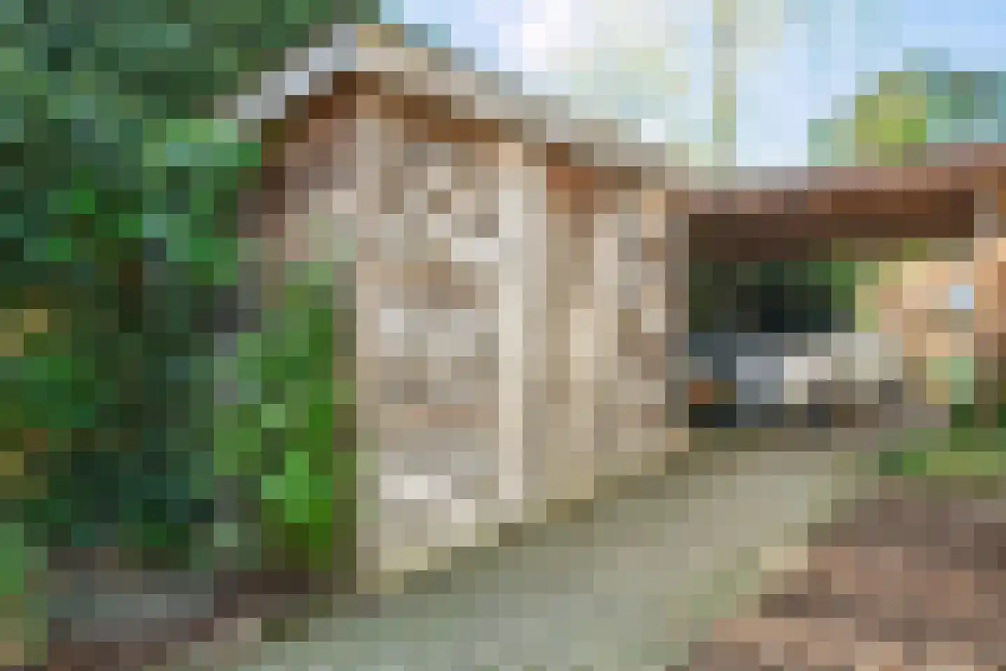 Ericalaan 2 Wageningen thumbnail 38