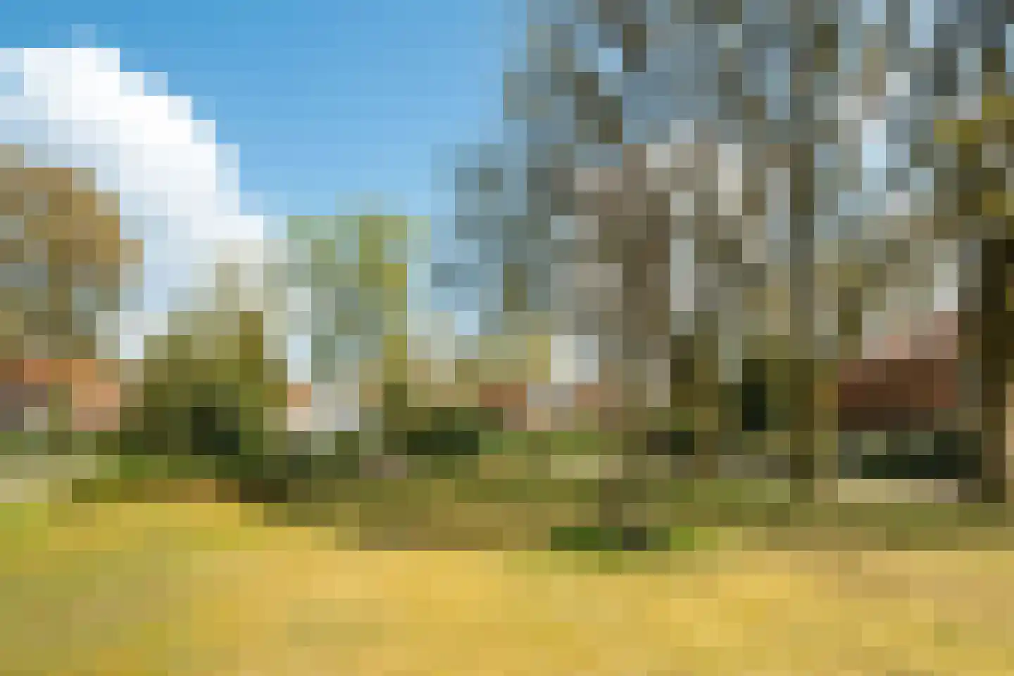 Ericalaan 2 Wageningen thumbnail 39