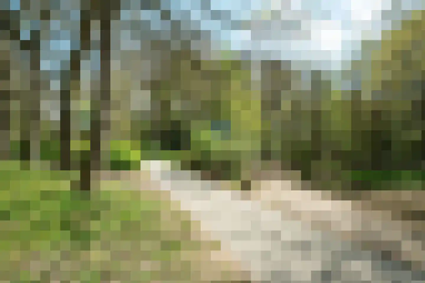 Ericalaan 2 Wageningen thumbnail 40