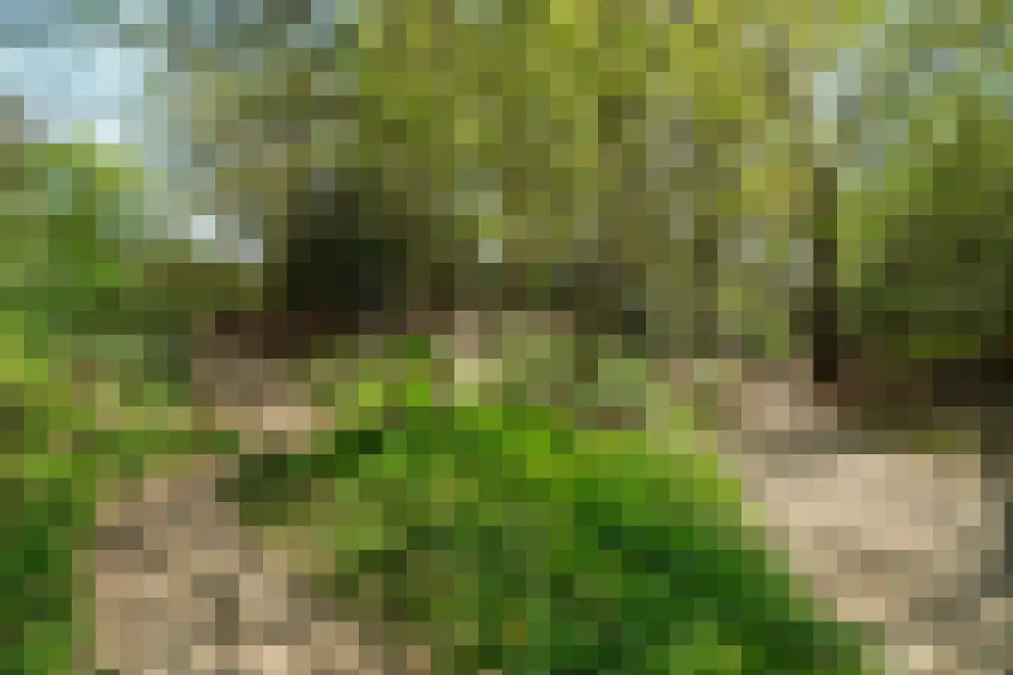 Ericalaan 2 Wageningen thumbnail 41