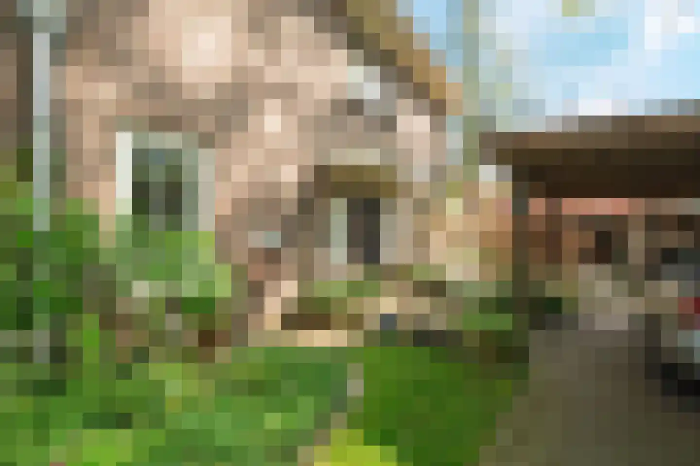 Ericalaan 2 Wageningen thumbnail 5