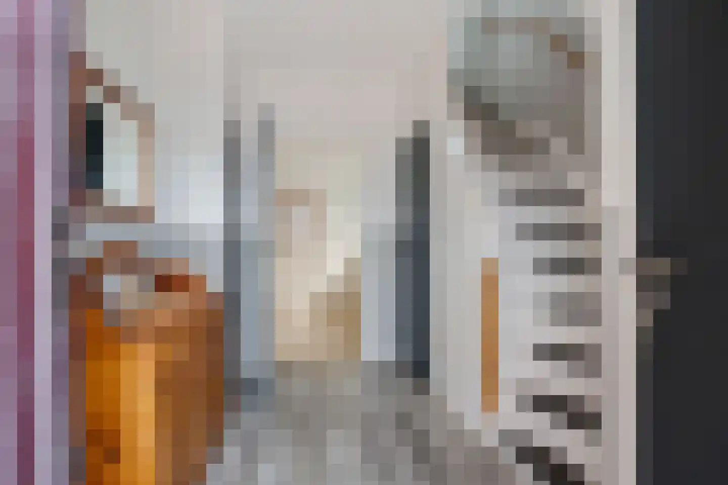 Ericalaan 21 Jubbega thumbnail 13