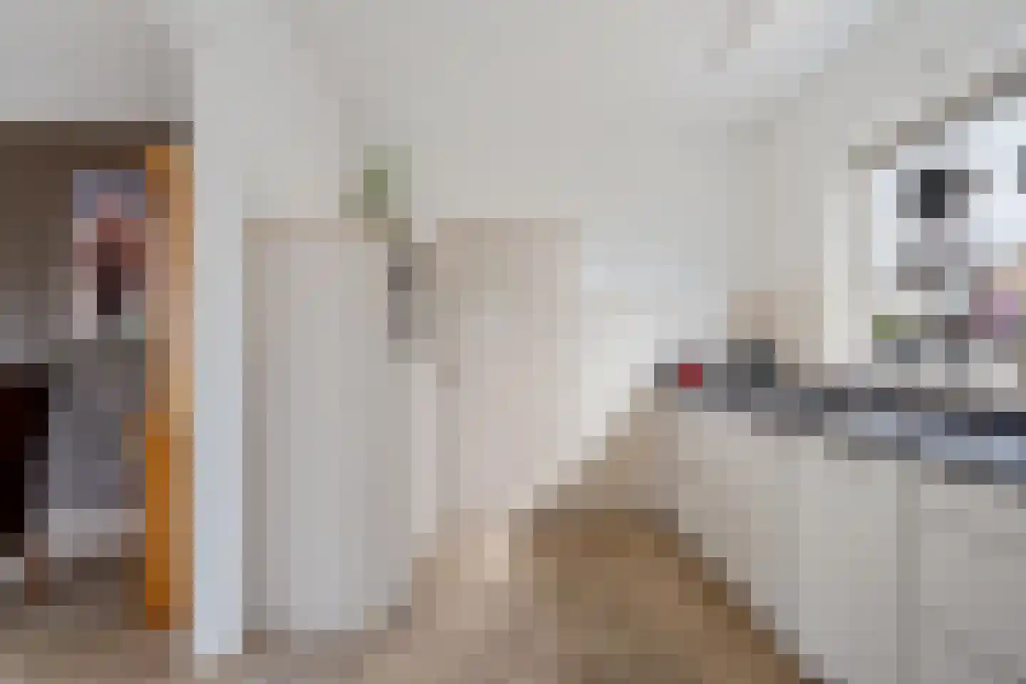 Ericalaan 21 Jubbega thumbnail 17