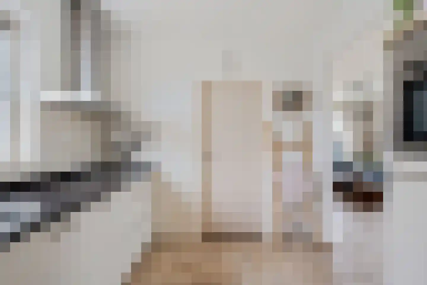 Ericalaan 21 Jubbega thumbnail 18