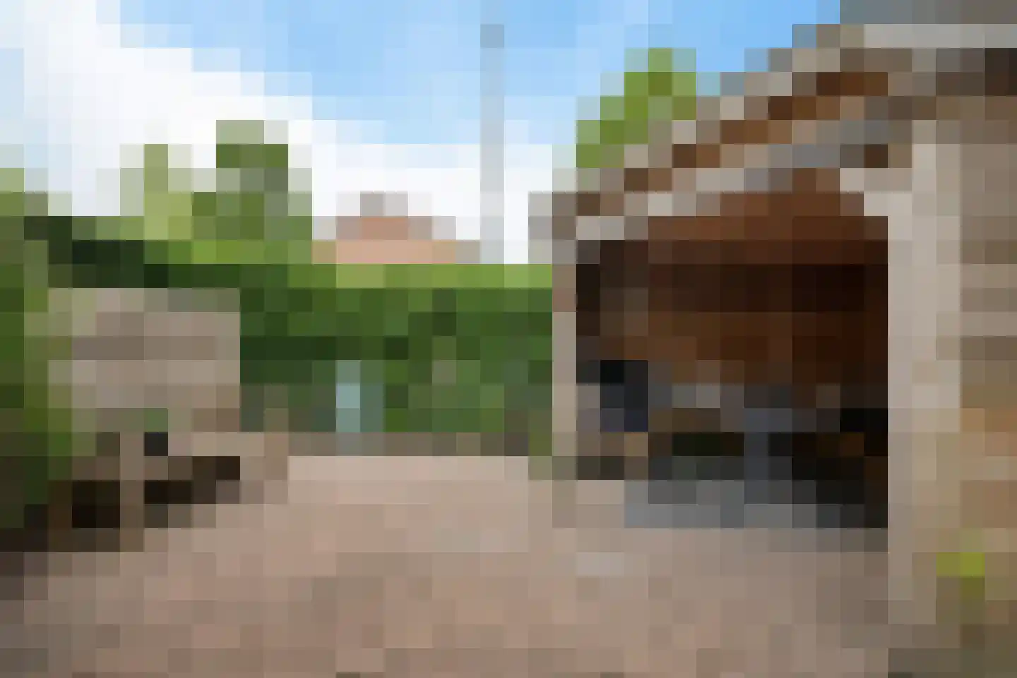 Ericalaan 21 Jubbega thumbnail 31