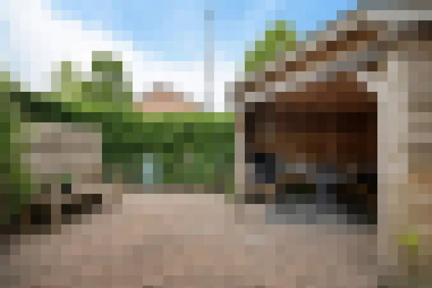 Ericalaan 21 Jubbega thumbnail 32