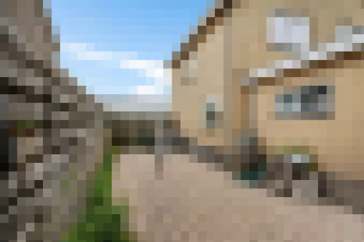 Ericalaan 21 Jubbega thumbnail 33