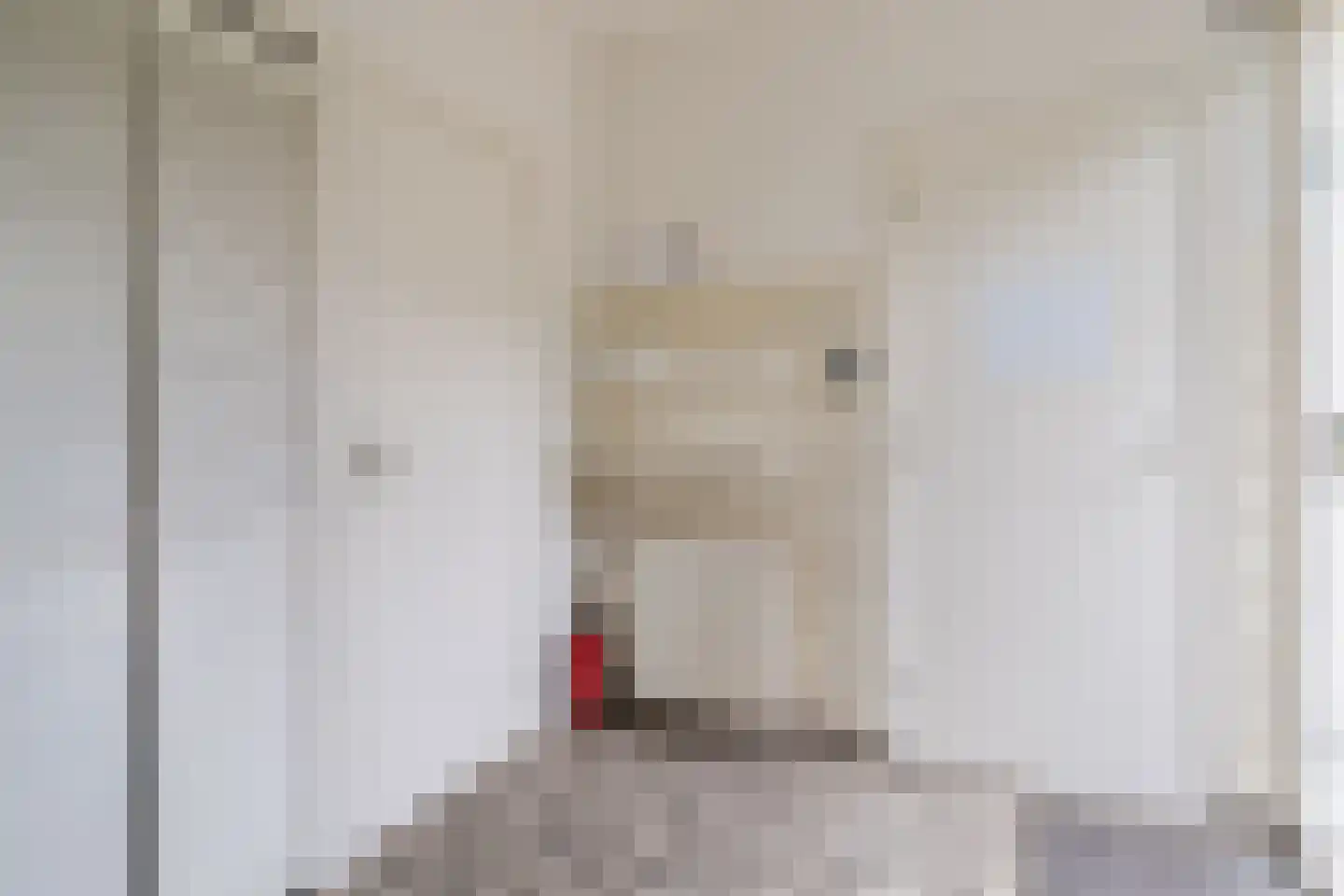 Ericalaan 25 Ermelo thumbnail 13