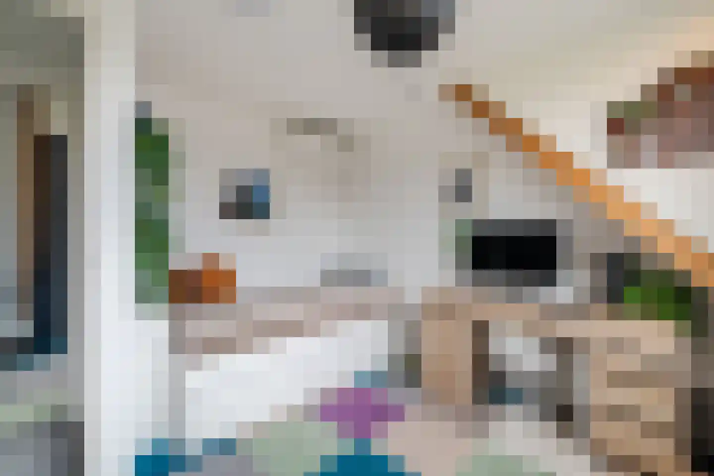 Ericalaan 25 Ermelo thumbnail 23
