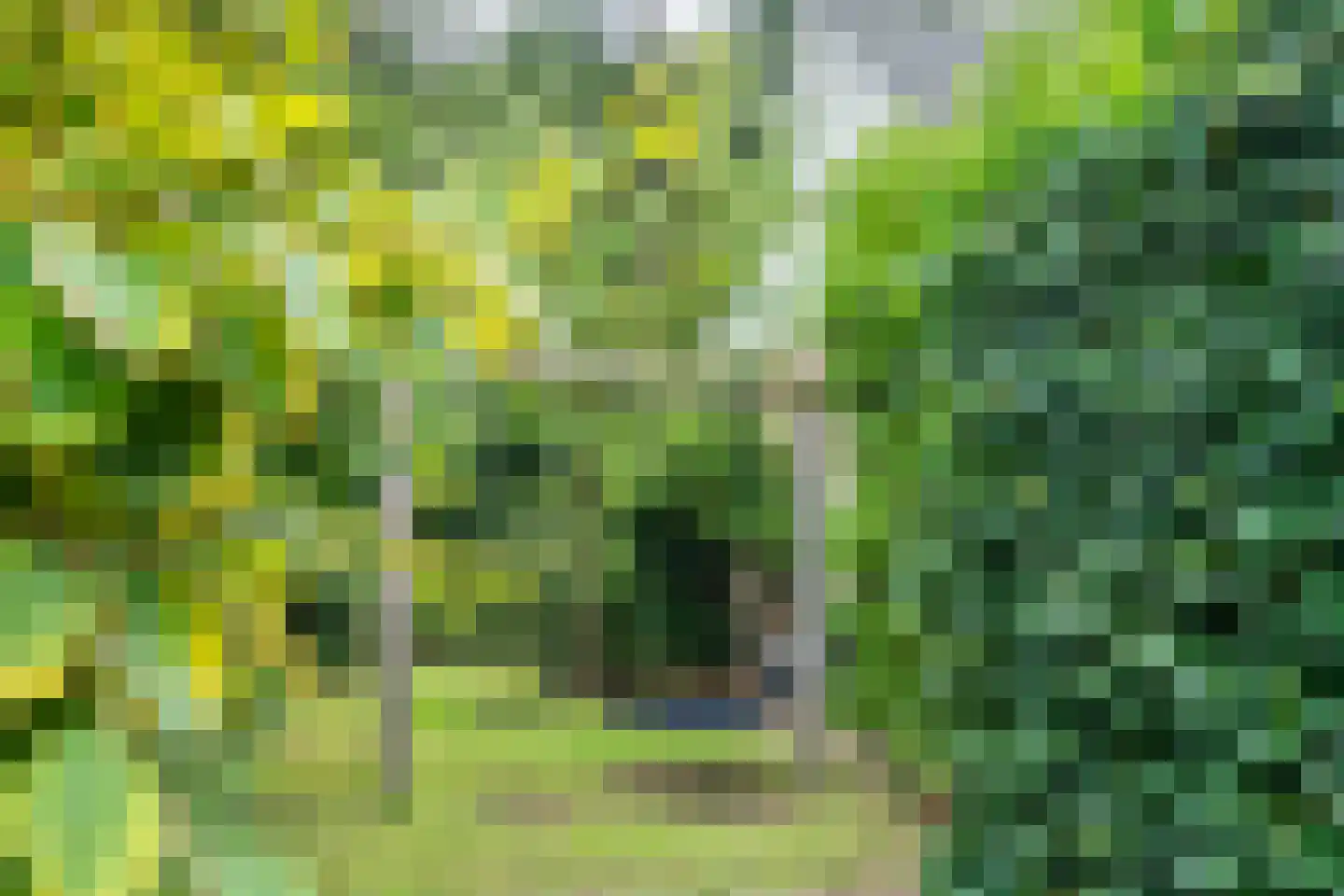 Ericalaan 25 Ermelo thumbnail 34