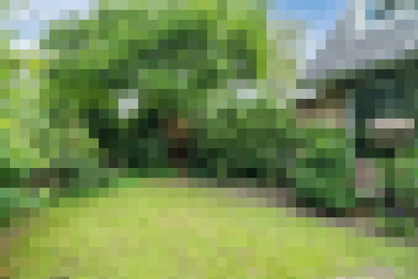 Ericalaan 25 Ermelo thumbnail 37