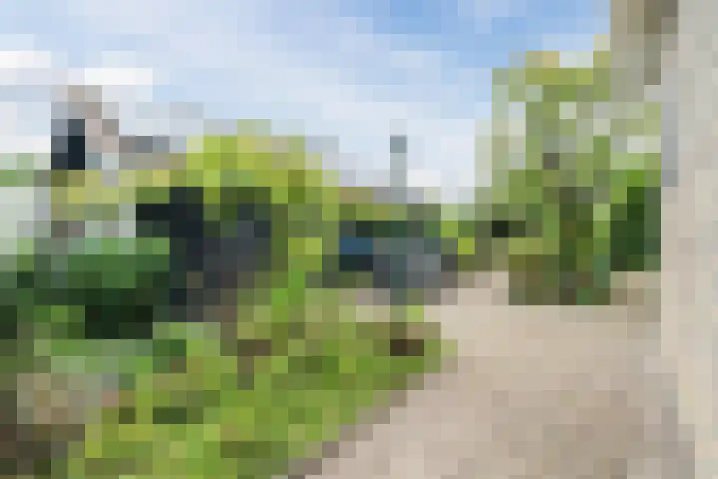 Ericalaan 25 Ermelo thumbnail 38