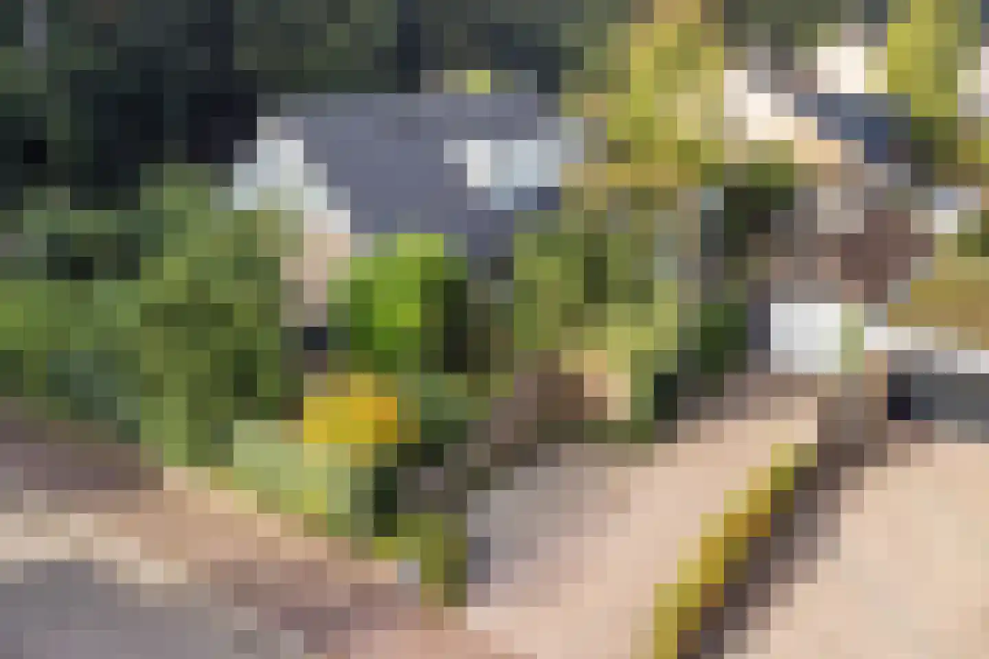 Ericalaan 25 Ermelo thumbnail 40