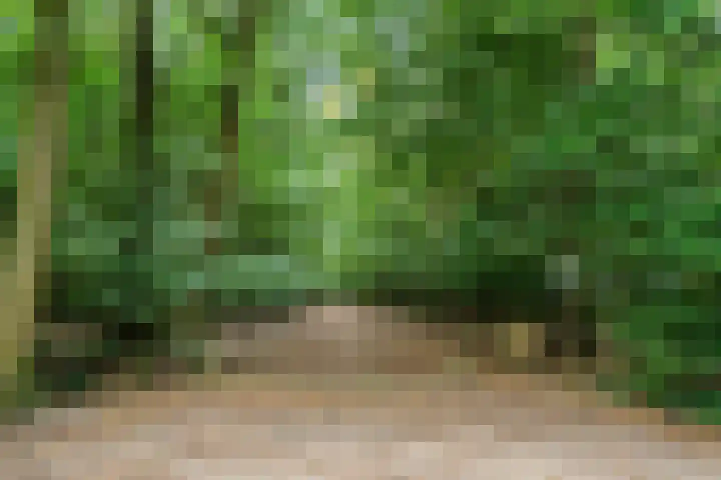 Ericalaan 25 Ermelo thumbnail 42