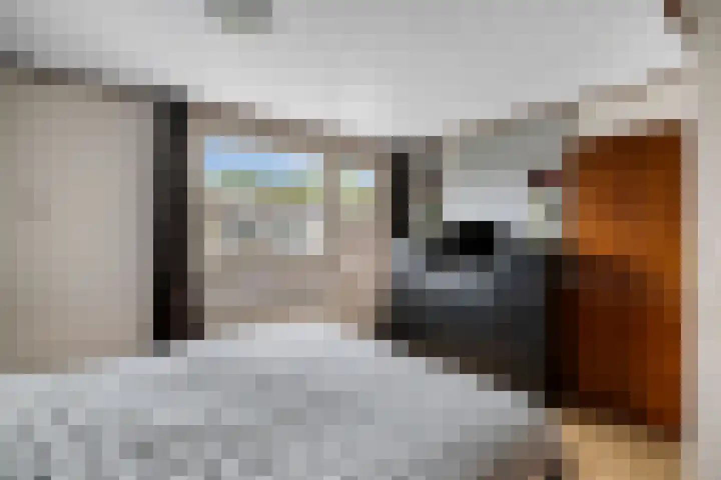 Ericalaan 31 Hoeven thumbnail 20