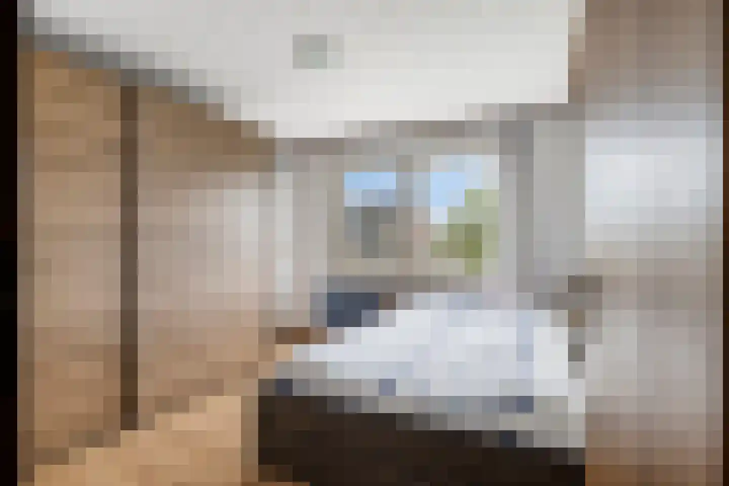 Ericalaan 31 Hoeven thumbnail 24