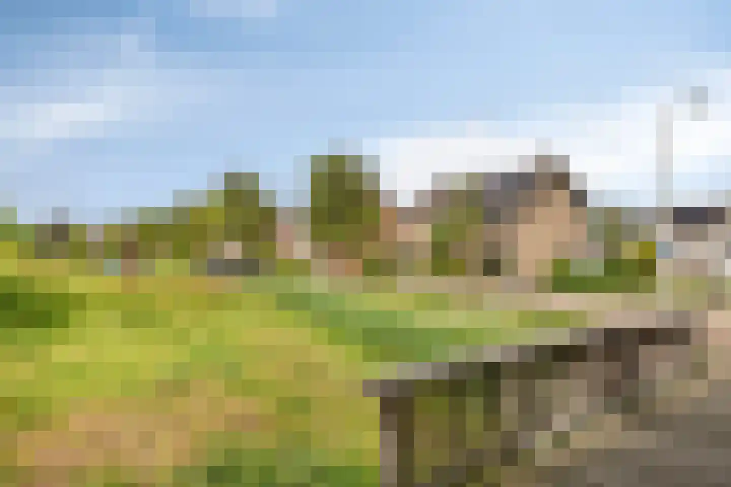 Ericalaan 31 Hoeven thumbnail 37