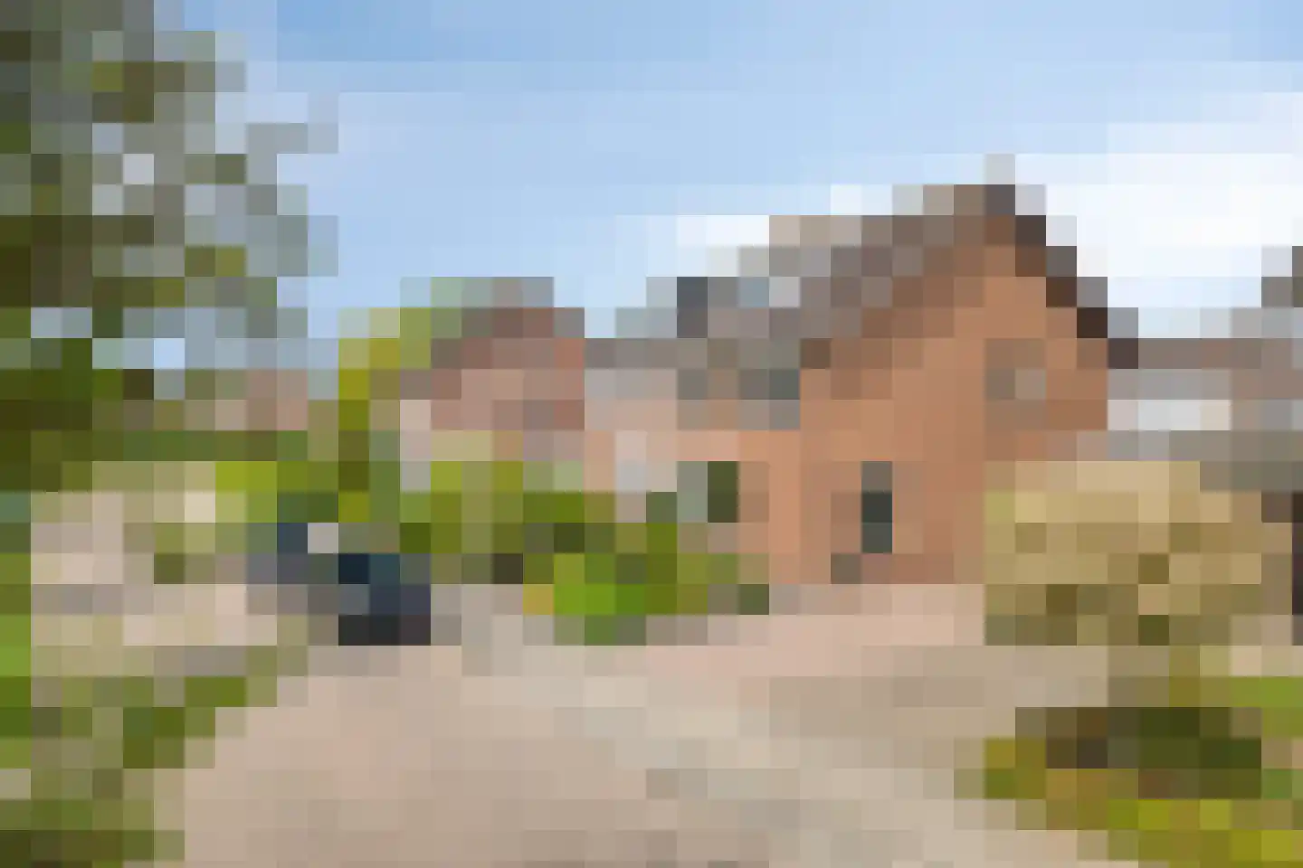 Ericalaan 31 Hoeven thumbnail 42