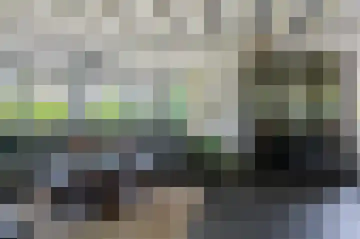 Ericalaan 32 Oude Pekela thumbnail 12