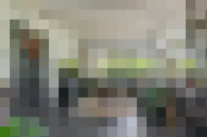 Ericalaan 32 Oude Pekela thumbnail 13