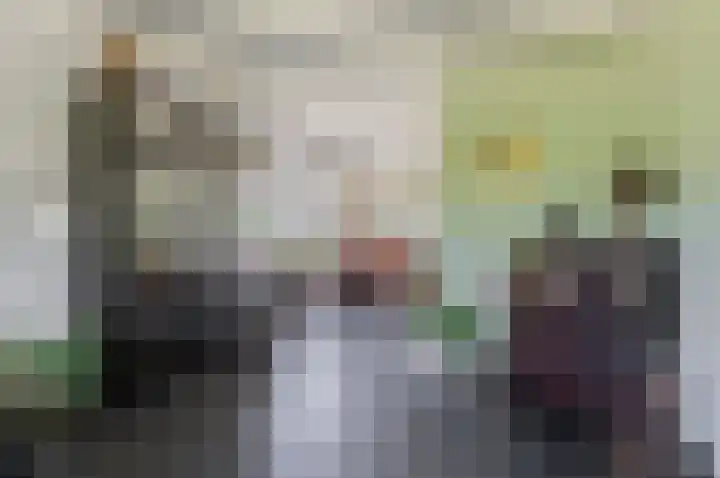 Ericalaan 32 Oude Pekela thumbnail 15
