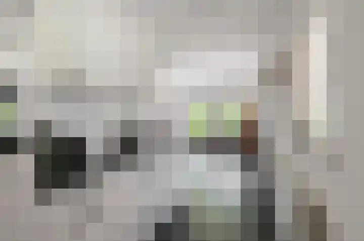 Ericalaan 32 Oude Pekela thumbnail 18