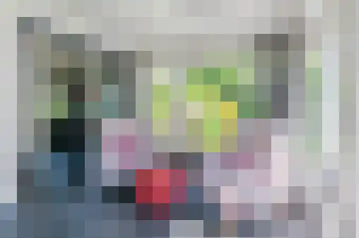 Ericalaan 32 Oude Pekela thumbnail 22