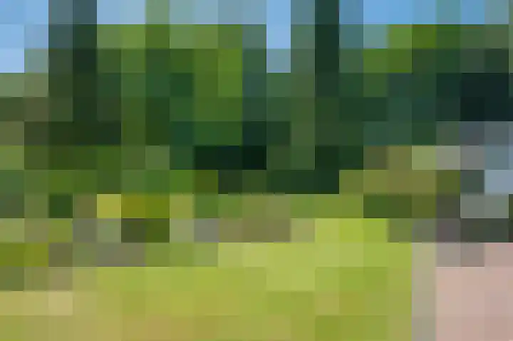 Ericalaan 32 Oude Pekela thumbnail 50