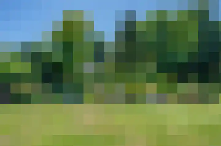 Ericalaan 32 Oude Pekela thumbnail 51