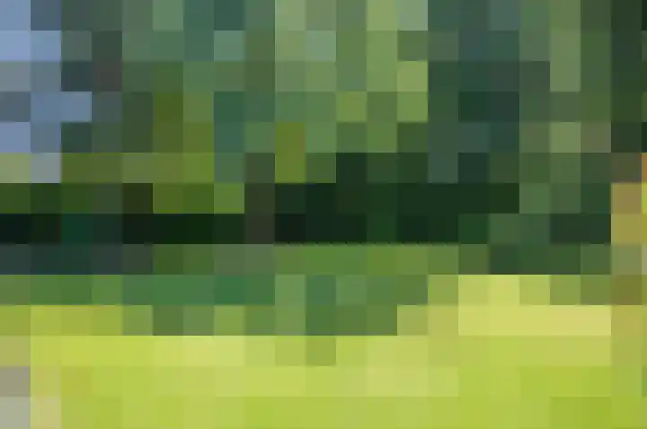 Ericalaan 32 Oude Pekela thumbnail 54