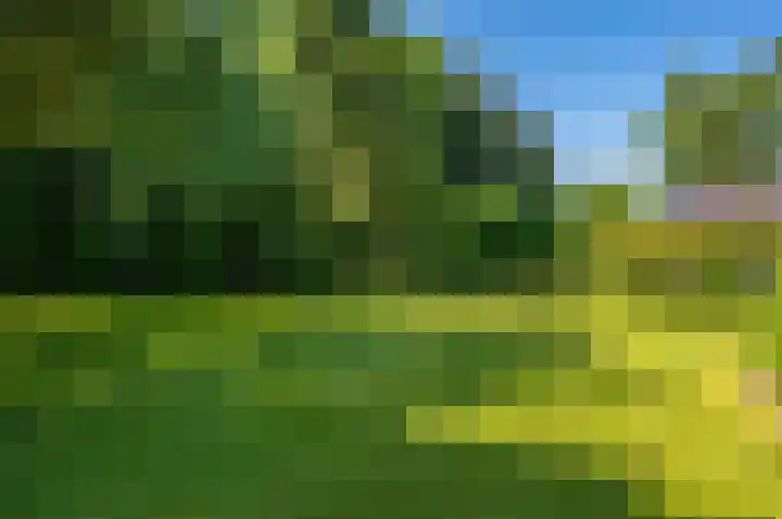 Ericalaan 32 Oude Pekela thumbnail 56