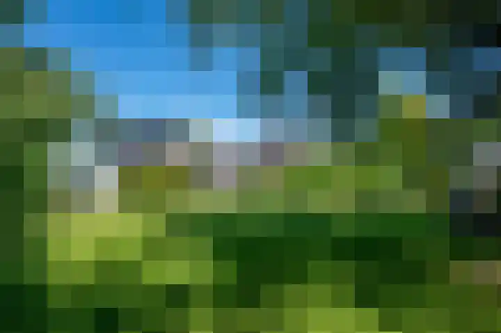 Ericalaan 32 Oude Pekela thumbnail 58